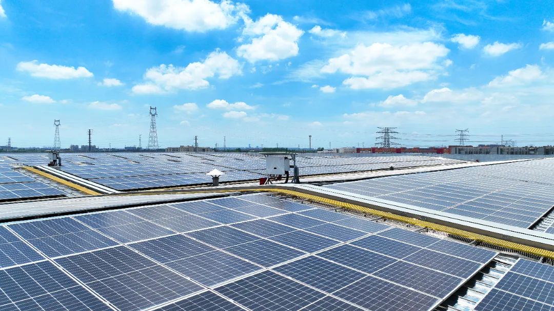 20240806140005_1345 20240806140005_1345