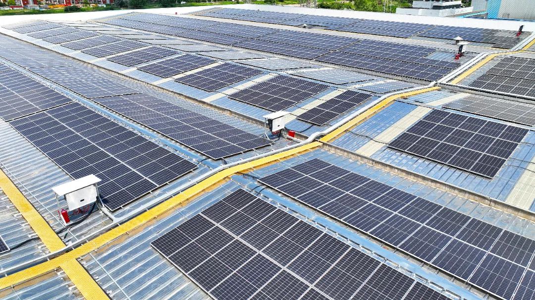 20240806140005_1827 20240806140005_1827