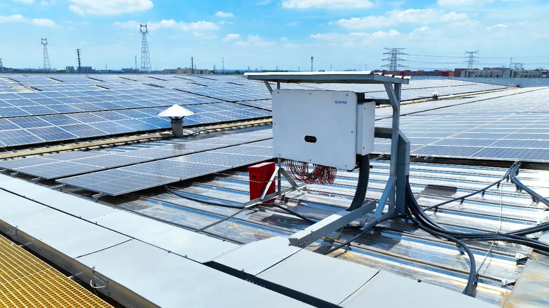 20240806140005_2352 20240806140005_2352