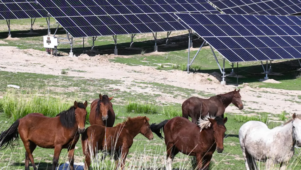 17301725208410320011012_573